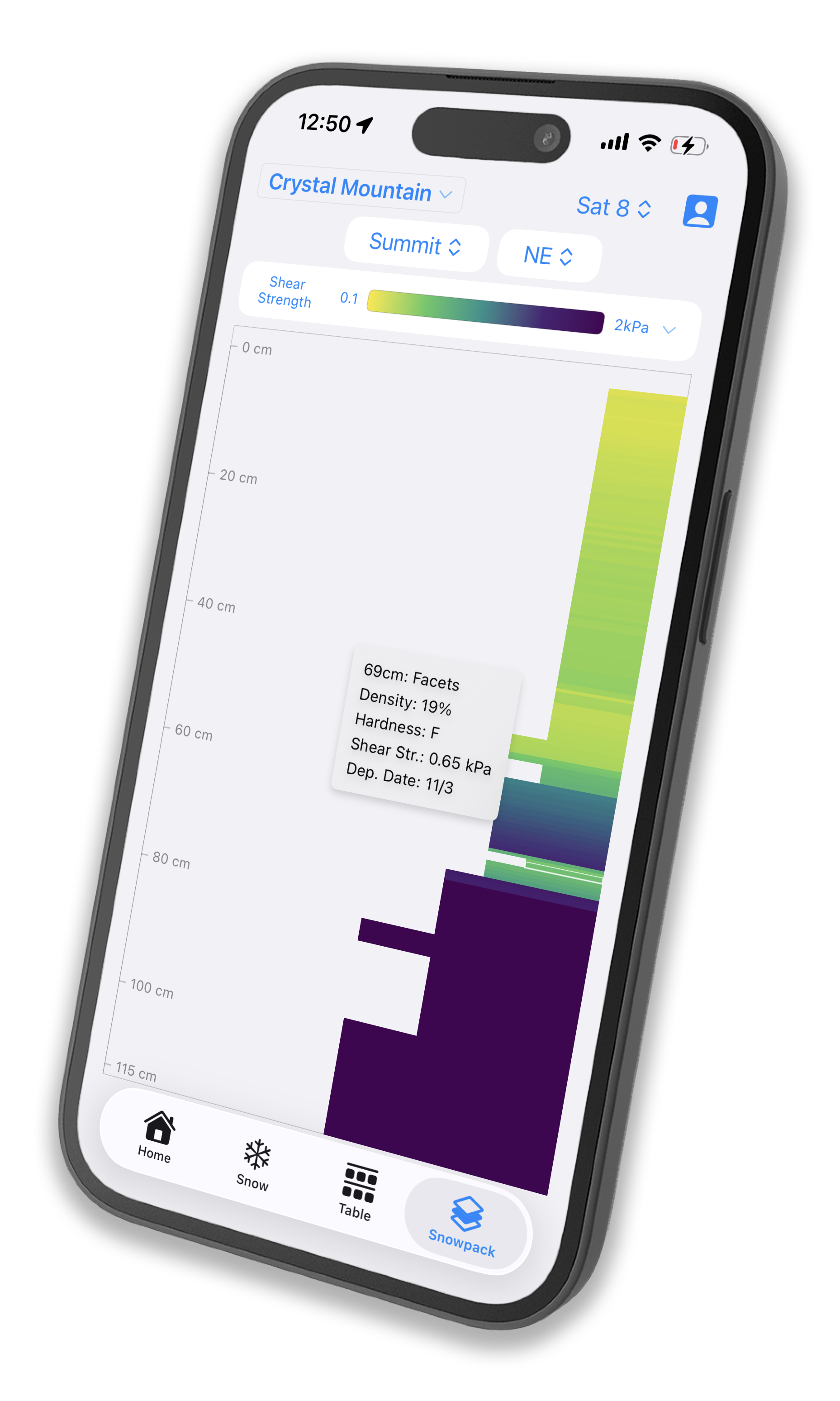 Snowpack simulation screen
